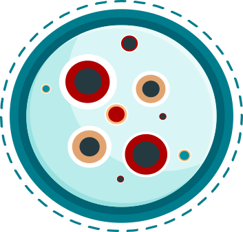 pap-test